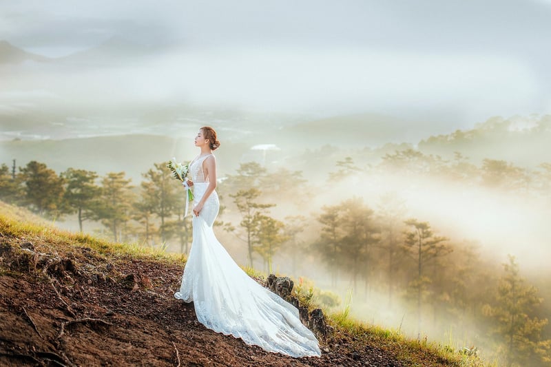 Professional Wedding Photographer